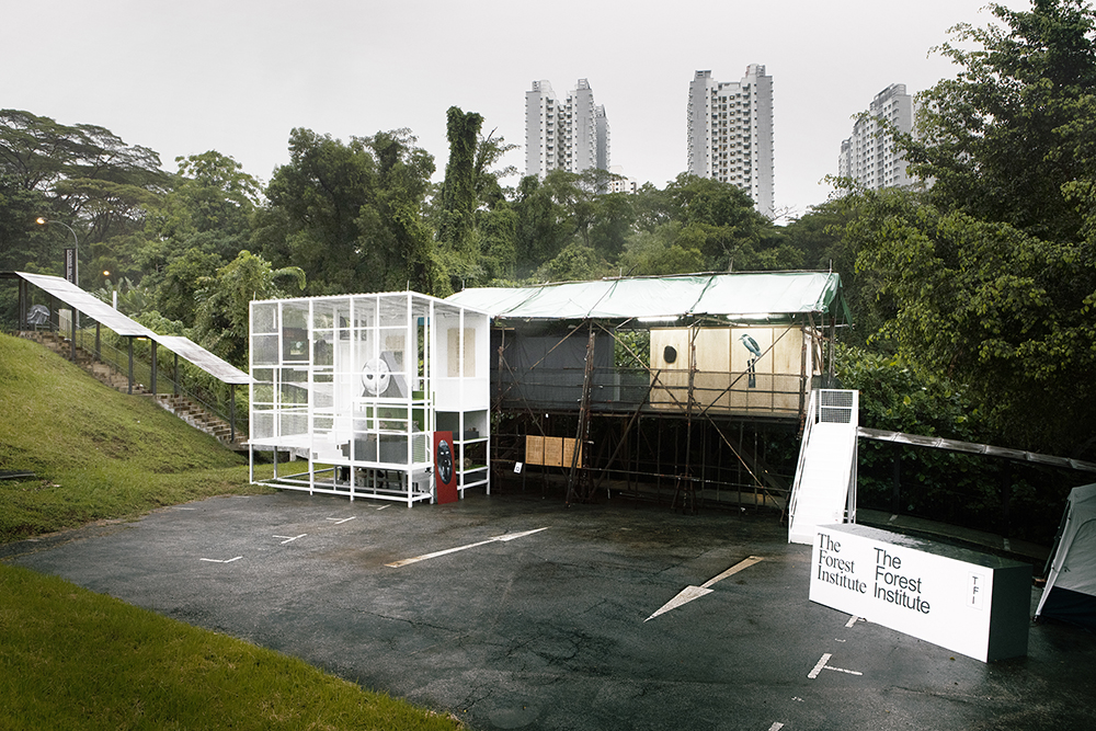 A makeshift structure in the middle of a carpark surrounded by trees