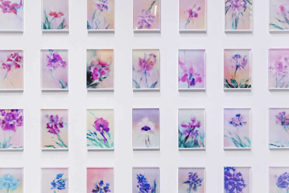 Glass blocks featuring colourful variations of orchids.