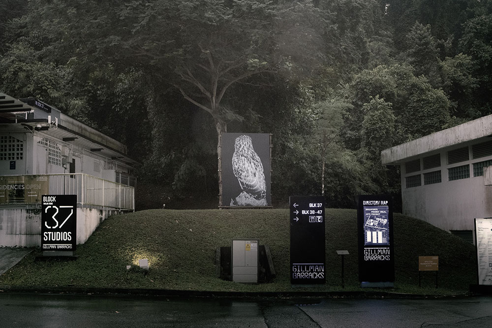 A large picture of the back of an owl surrounded by forest and buildings.