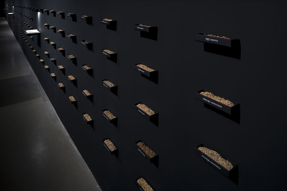 Small boxes of seeds attached to a black wall.