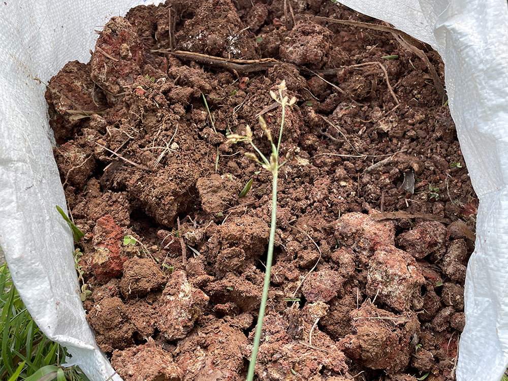 A bag of soil that contains leaves and bark.