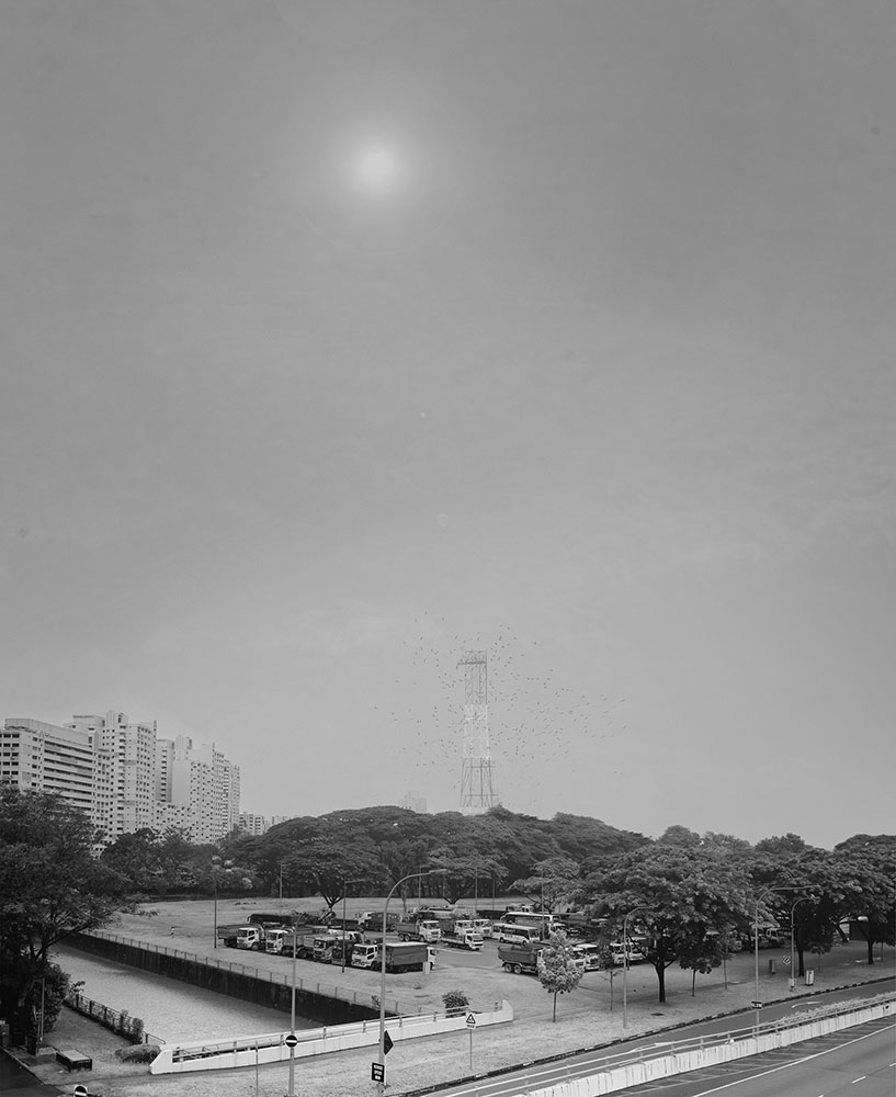 A flock of birds surrounding a large metal structure.