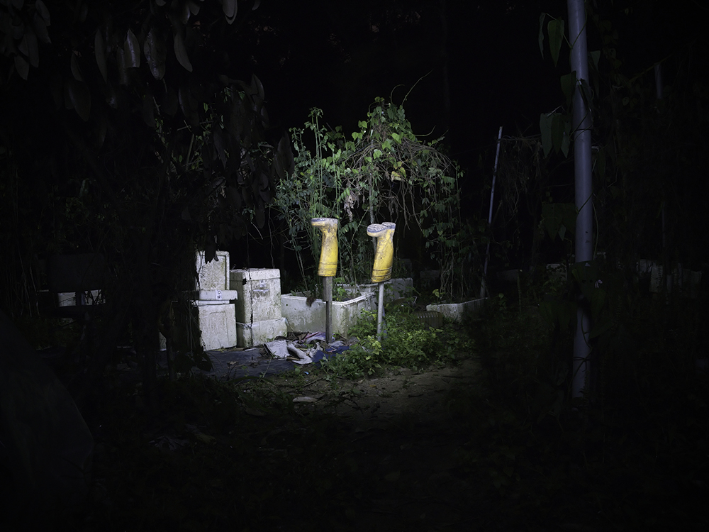 Rubber boots on poles in a forest.