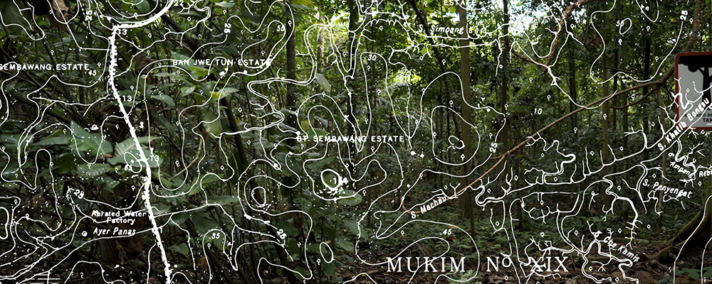 A map of Sembawang Estate over a picture of a forest.