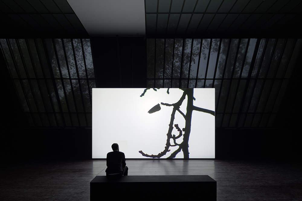 A person sitting looking at a white screen with the silhouette of a branch and butterfly.