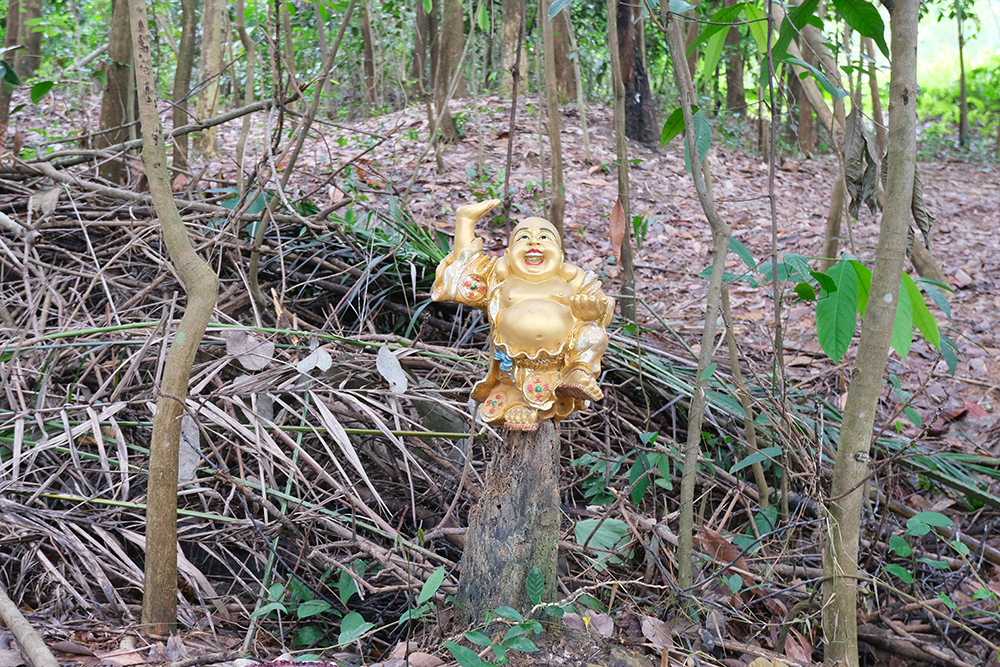 A gold buddha statue hanging on a tree stump in a forest.