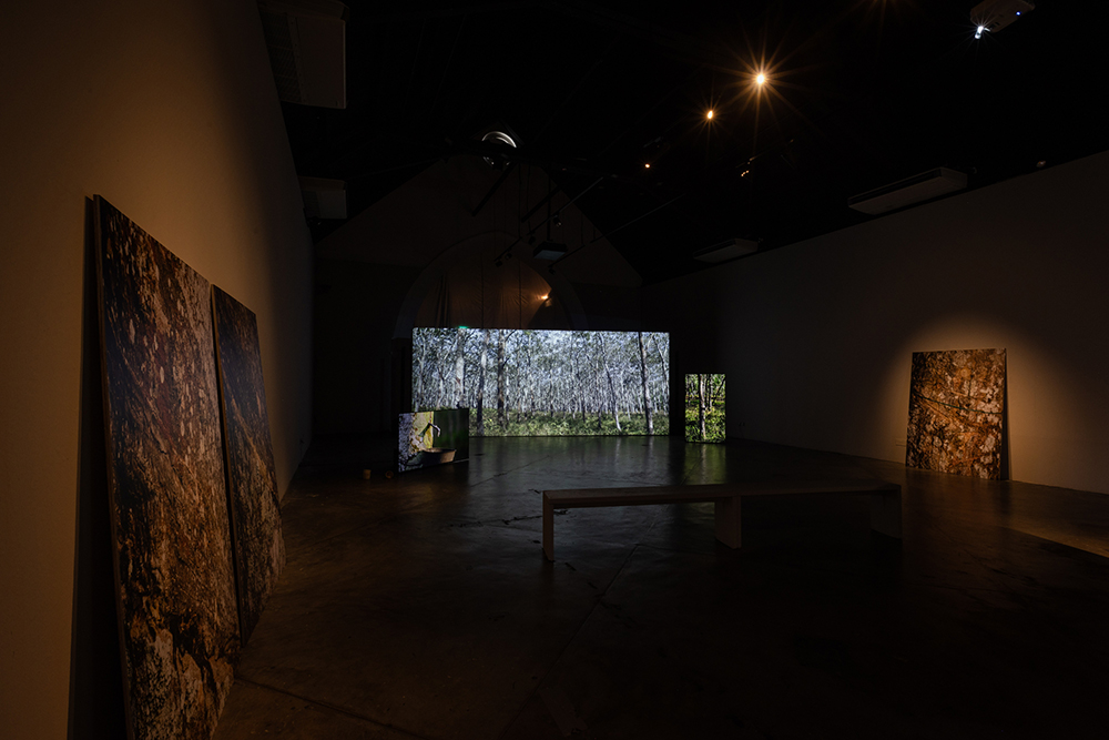 Exhibition view featuring a large screen with rubber trees and two smaller screens. Three different large posters of trees rest alongside the walls.