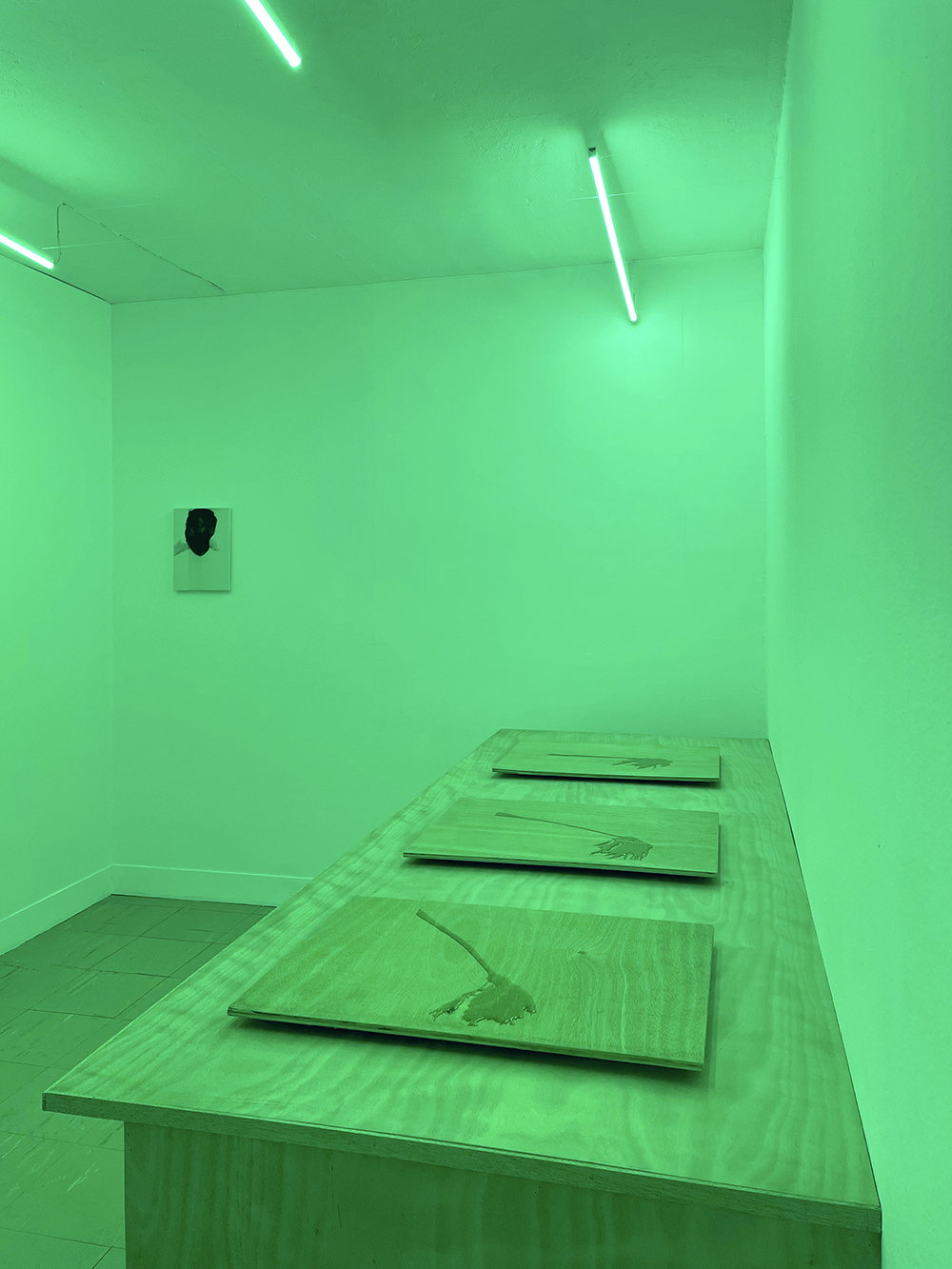 A room lit neon green. Three wooden slabs with a palm tree image in the foregroun, an image of a man hangs on the wall behind the wooden slabs.