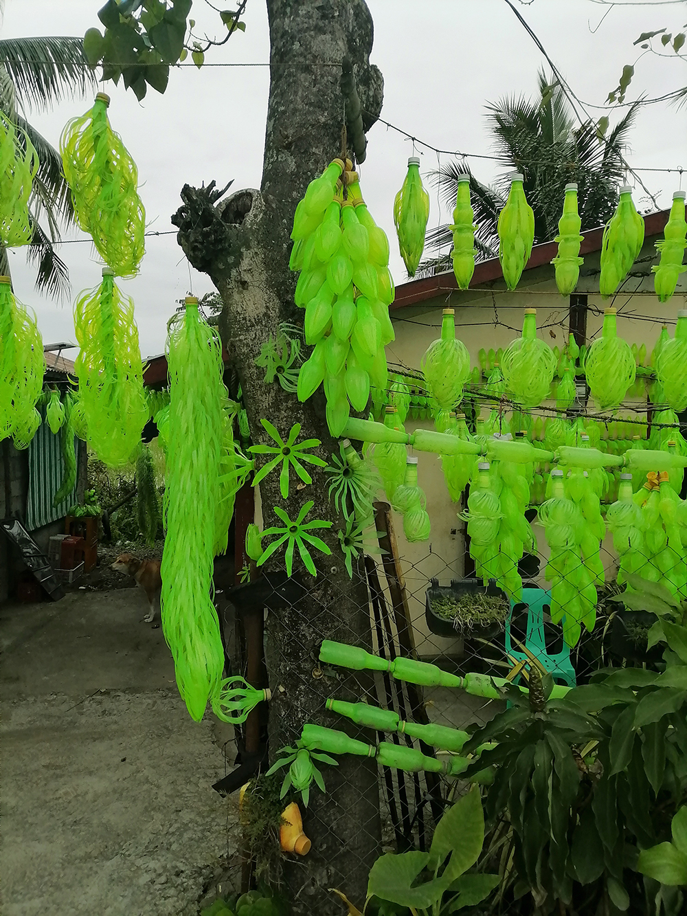 [Tropical Mirroring] One of the more elaborate and nature-like repurposed Mountain Dew bottle decorations that can be spotted everywhere in the Philippines is in Isabela. Photo by Waren Valdez.