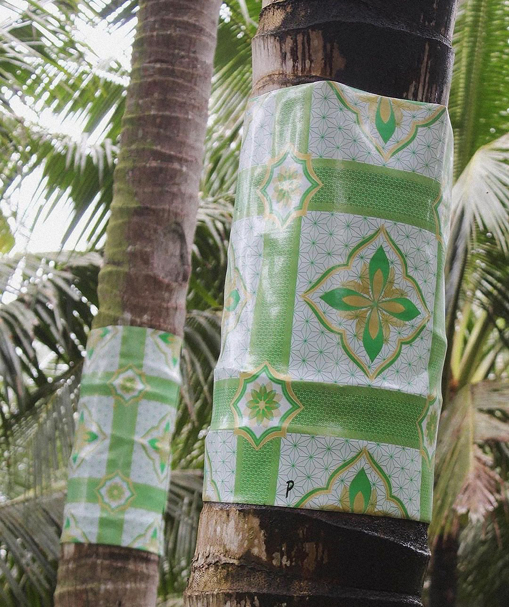 [Weatherproofing] Cuts from printed plastic sheets for tables are wrapped around coconut tree trunks to prevent rats from climbing and eating developing drupes. Photo by Bea Misa Crisostomo, taken in Compostela Valley.