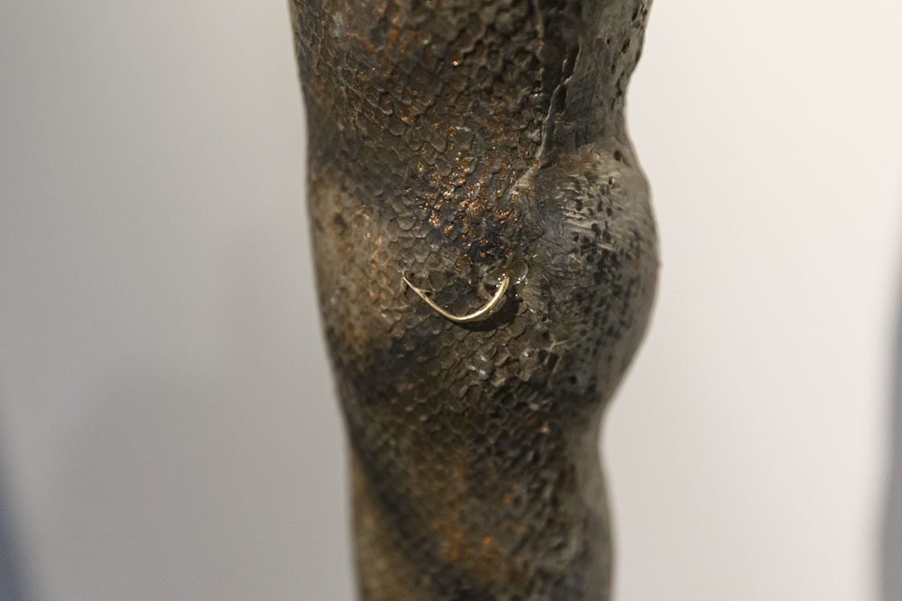 Close up of a golden hook in a snake's skin.